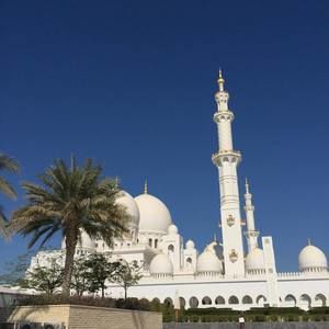 Meet your Posher, Anara